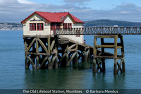 Advanced_Barbara Mendus_The Old Lifeboat Station, Mumbles_1_
