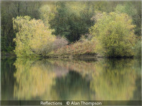 Alan Thompson_Reflections