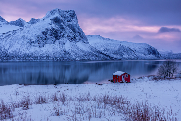 Red hut on fjord at dusk, Senja, Norway - Alec Gibson