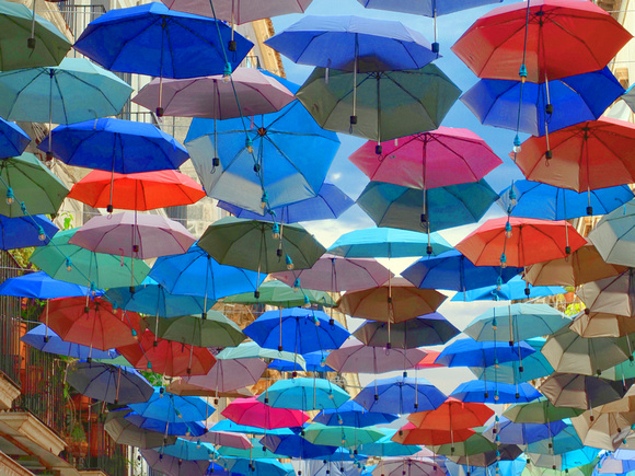 Umbrellas - Roger Mendham