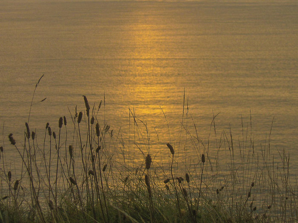 Headland sunset
