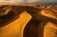 Golden Hour Dunes