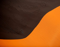 Dune Walkers